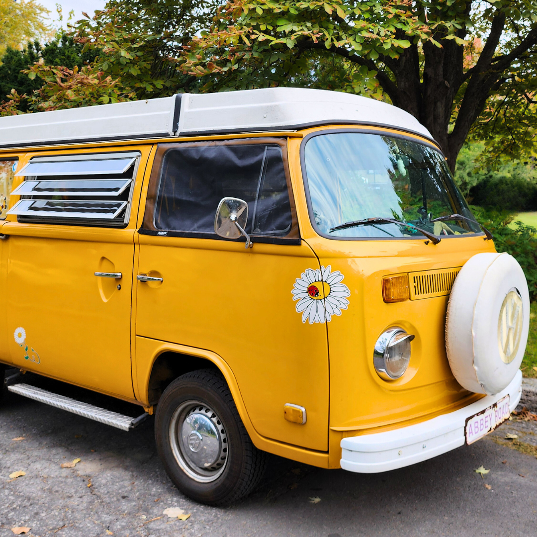 Bug screen for Volkswagen Westfalia & Vanagon door, offering optimal protection against mosquitoes while allowing you to enjoy fresh air. With this mosquito net specifically designed for the Volkswagen Westfalia & Vanagon, you can lower your windows without letting mosquitoes in. Enjoy your travels in peace with this durable and easy-to-install mosquito net for your Volkswagen Westfalia, keeping mosquitoes out while letting fresh air in.